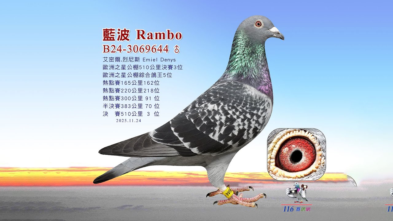 【艾密爾 烈尼斯】B24-3069644