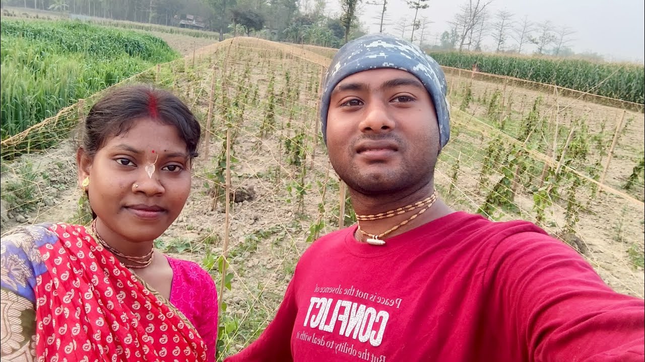 সঞ্জিতা পটল বাগান দেখতে এসে বলছে চাকরি ছেড়ে দিয়ে পটলের ব্যাবসা করবে 😀