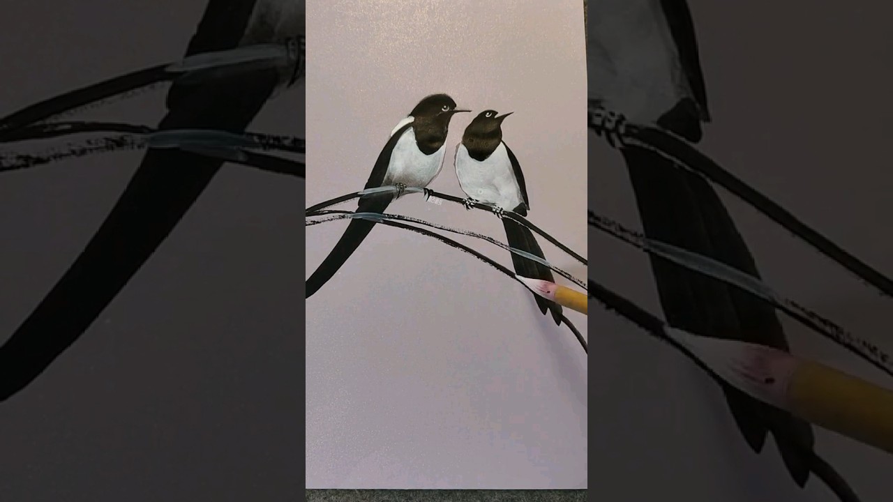 beautiful drawing, the best drawing expert part-70 