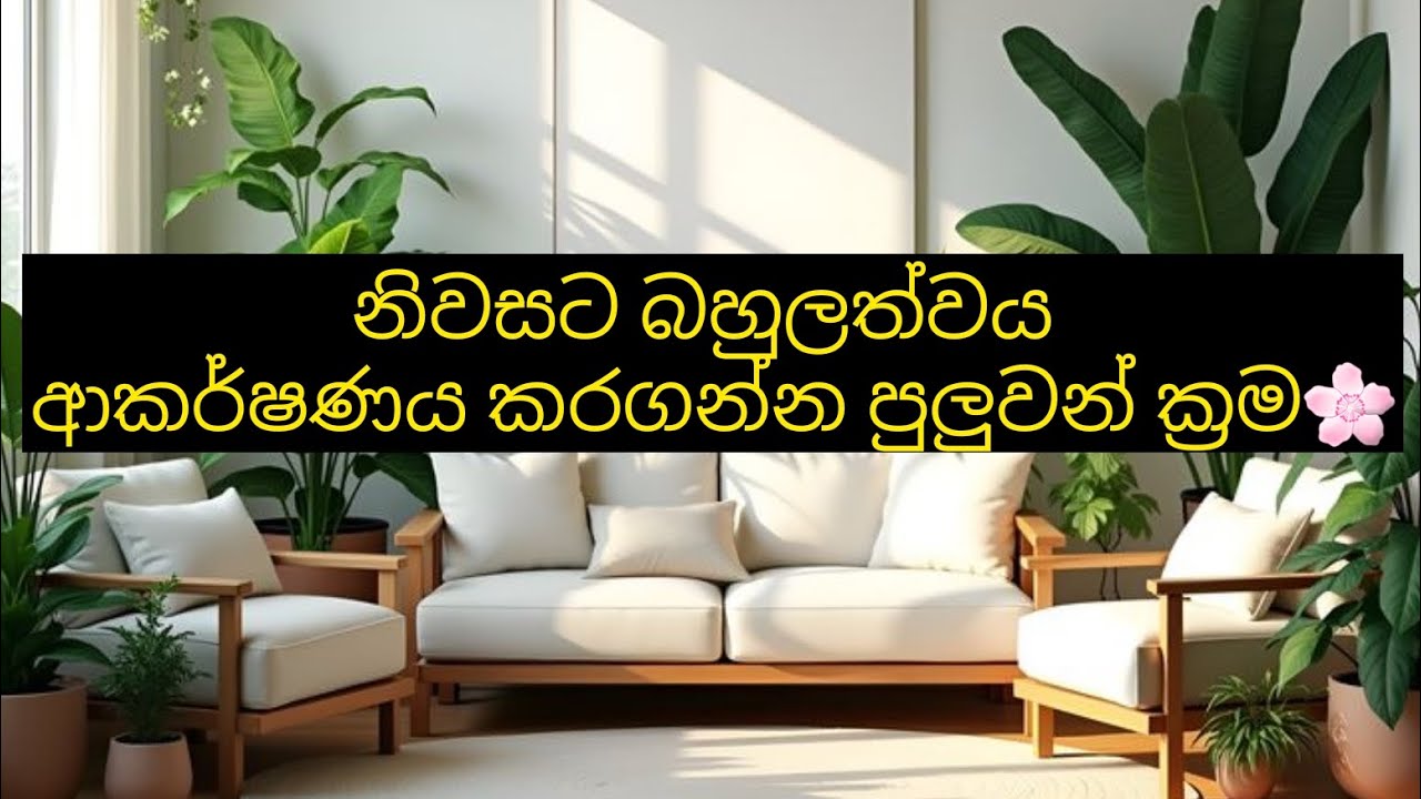 නිවසට බහුලත්වය ආකර්ෂණය කරගන්න සරල ක්‍රම 🌸🧿 ෆෙන්ශුයි #fenshui #lowofattraction #attraction #foryou 