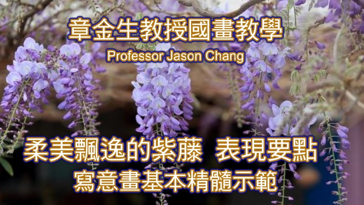 章金生教授國畫教學 寫意畫基本精髓示範:  紫藤 表現要點, 葉片色彩形態表現, 紫藤花3階段畫法, 藤蔓表現