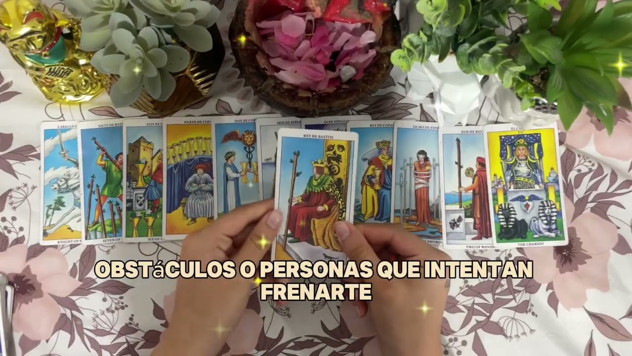 YA LE GANASTE A TODAS LAS BRUJAS JUNTAS 