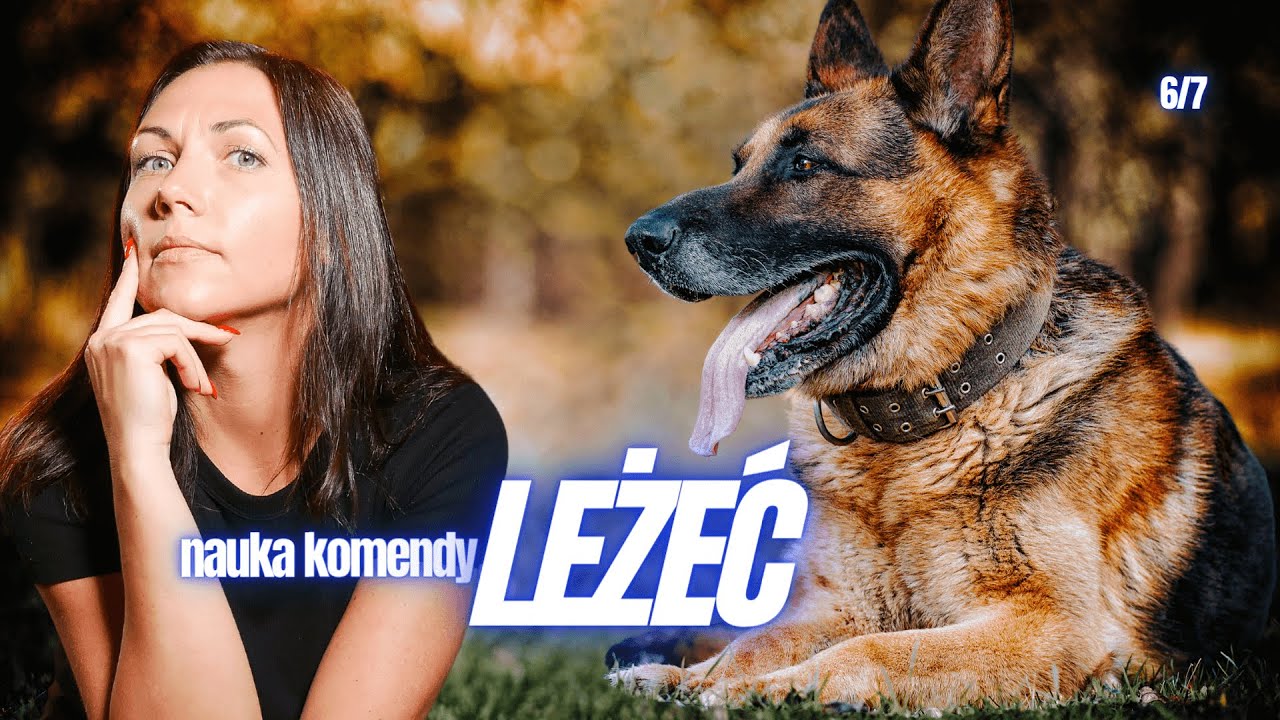 Jak nauczyć psa LEŻEĆ