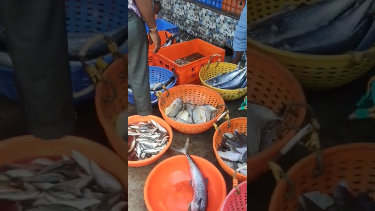 Biggest Fish Market in Goa