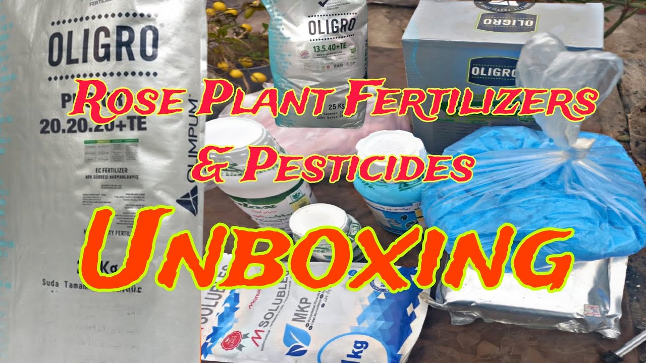 Rose Plant New Fertilizers & Pesticides Unboxing | Best Products for Healthy Growth & Blooms