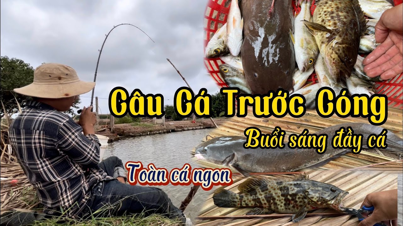 Buổi Sáng Câu Cá Trước Cóng may mắn trúng đậm toàn cá ngon