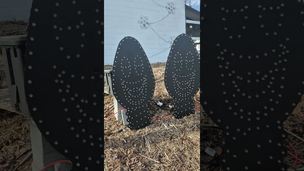 2025 Behind the Scenes Christmas light show tour