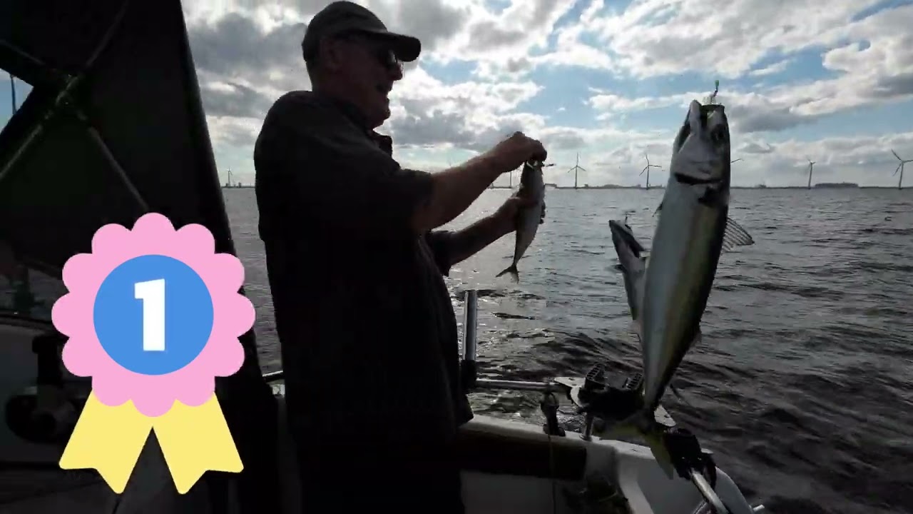 Middelgrund, Sydlige Øresund. Småbådsfiskeri. Makrel 16 aug 2023 Vol 3/3