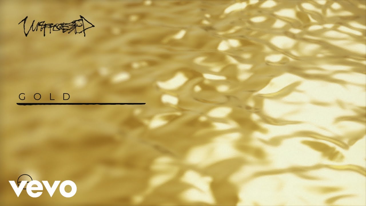 Unprocessed - Gold (Official Audio Visualizer)