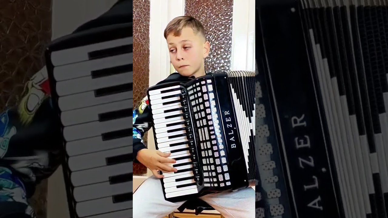 🪗😏🤩🥰 Muzica frumoasă🥰🤩😏🪗  #music #acordeon #muzica
