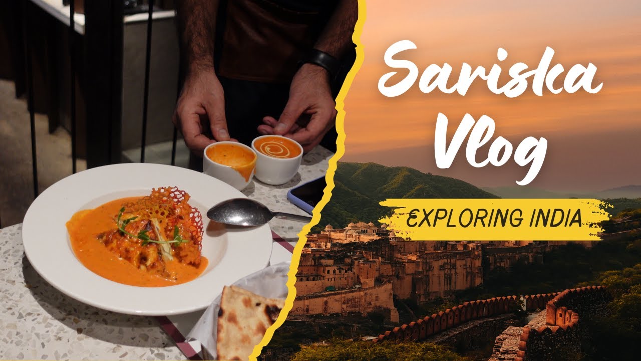 Sariska Tiger Reserve to Delhi | Vanbagh Sariska Resort | Alwar Rajasthan |#alwar #rajasthan
