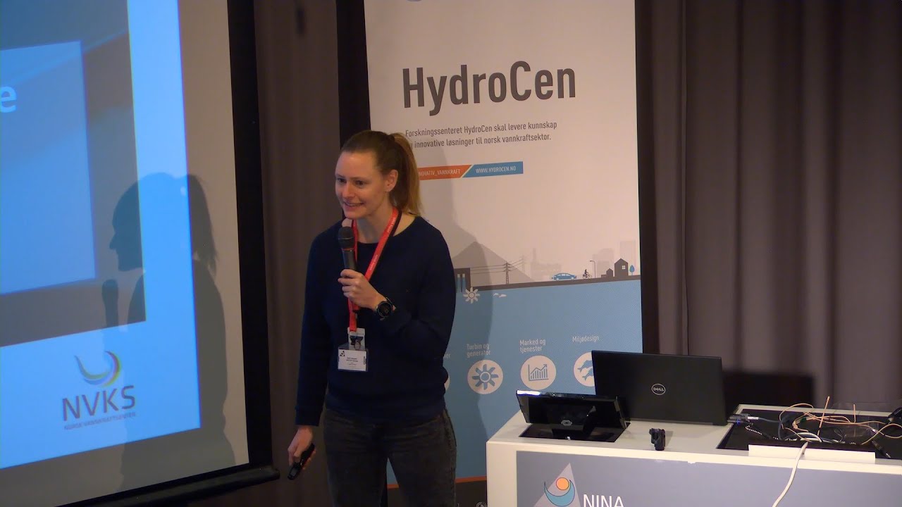 Hvordan kan vannkraftprodusenter tjene penger i fremtidens kraftsystem?