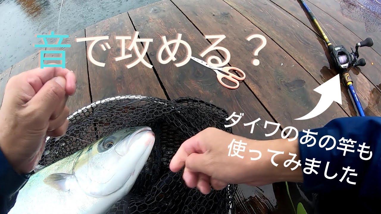音で攻める釣堀小ネタ＆CBCメタルチューンで青物試釣