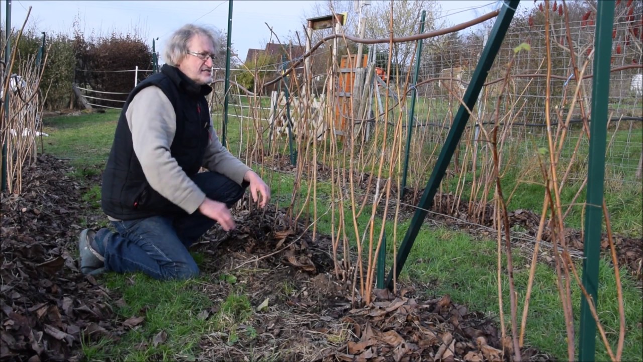 Le Potager du Paresseux : visite le 24 janvier 2018