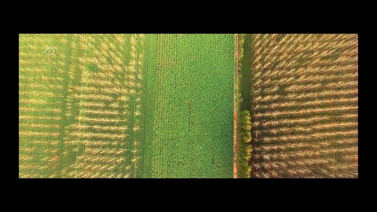 Dwarikesh Sugar Corporate  Video Teaser
