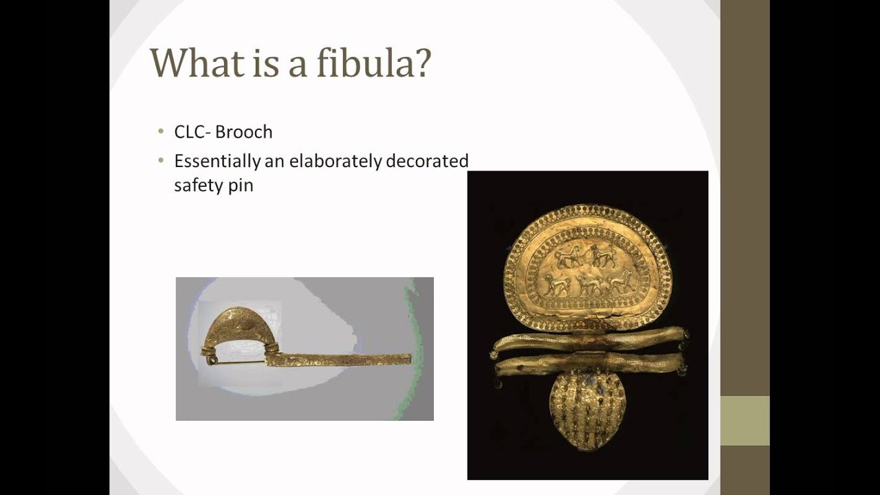 What is a Fibula