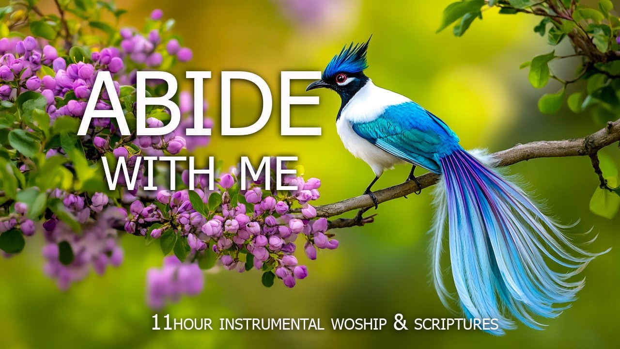 ABIDE WITH ME : Soothing Worship Piano & Powerful Bible Verses Set Against a Beautiful Bird