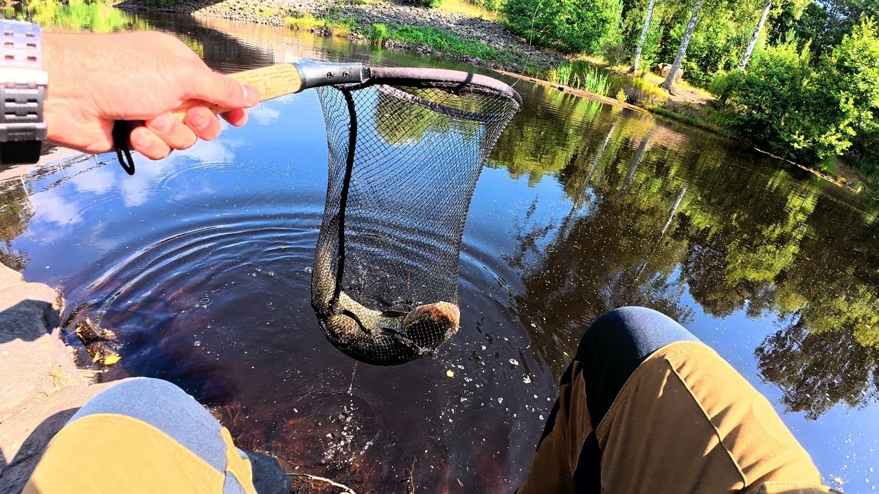 Fiske i Skåne - Helge å
