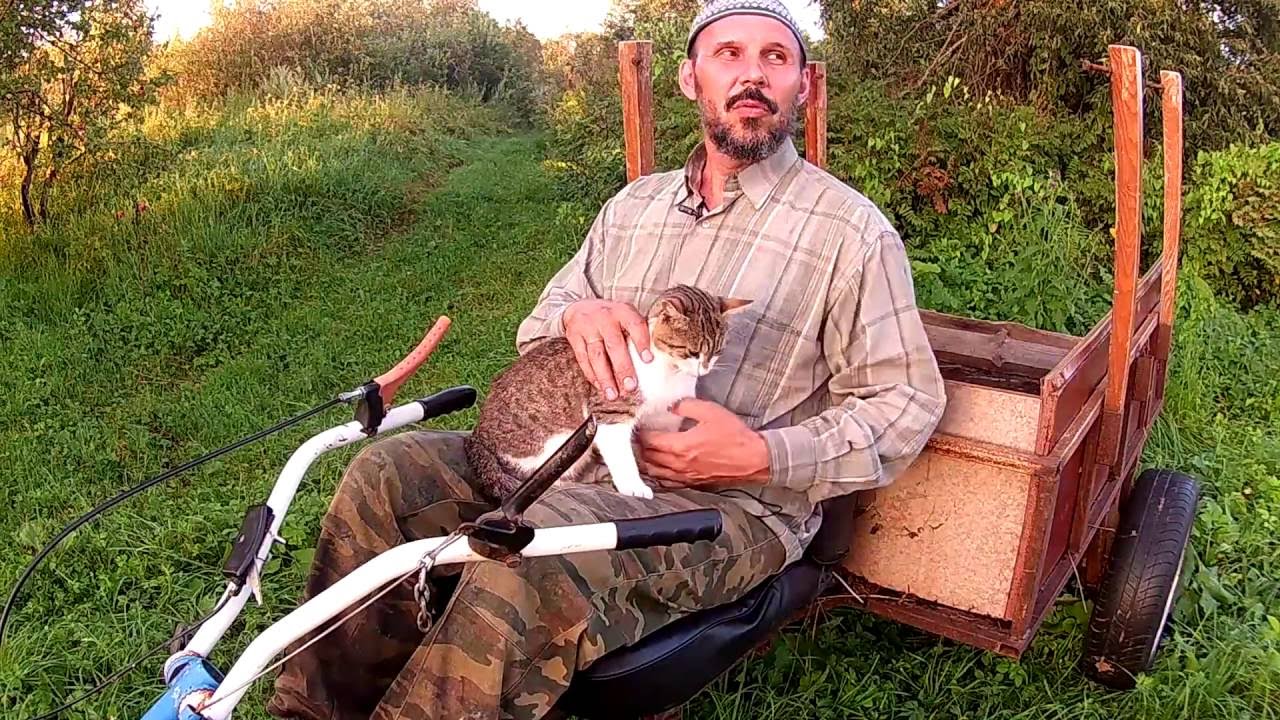 Про сено // Из города в деревню