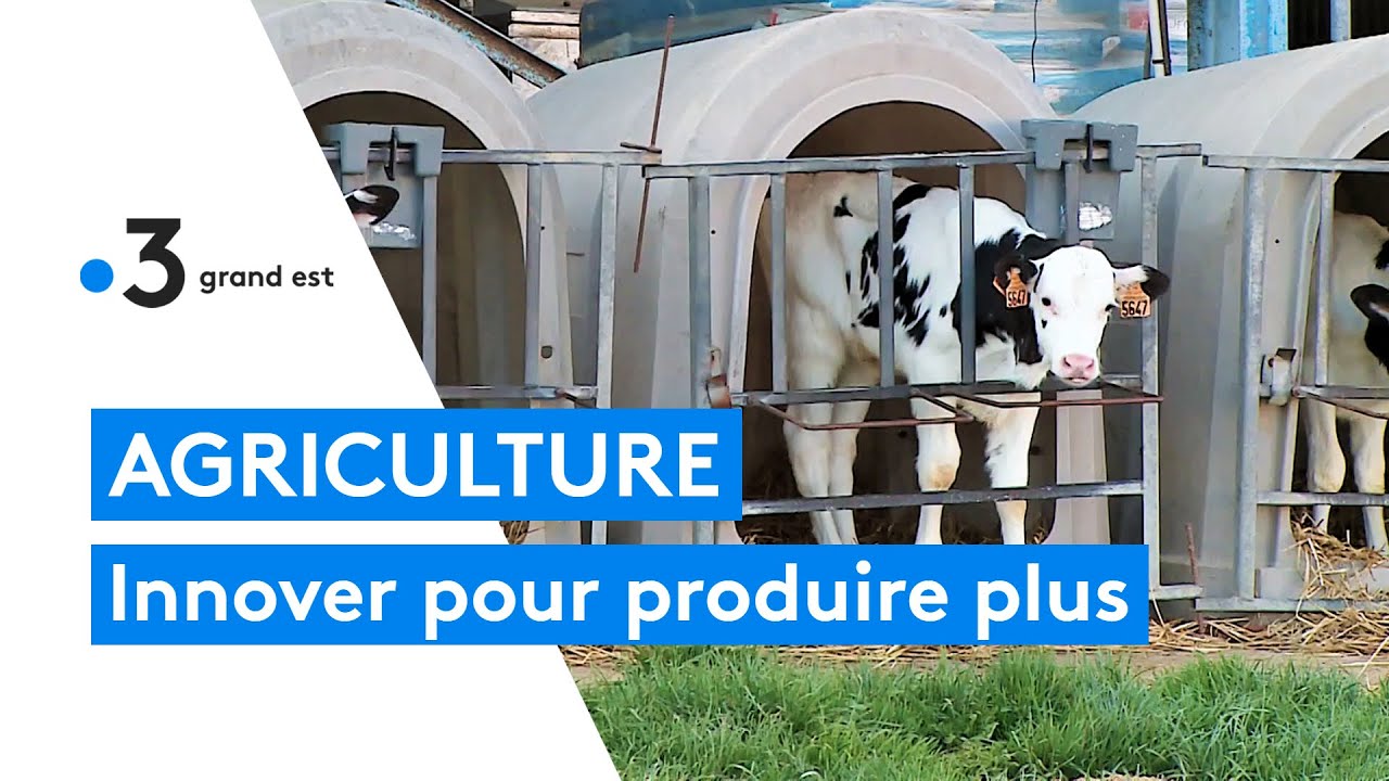 Agriculture connectée : les fermes s'automatisent grâce aux innovations technologiques