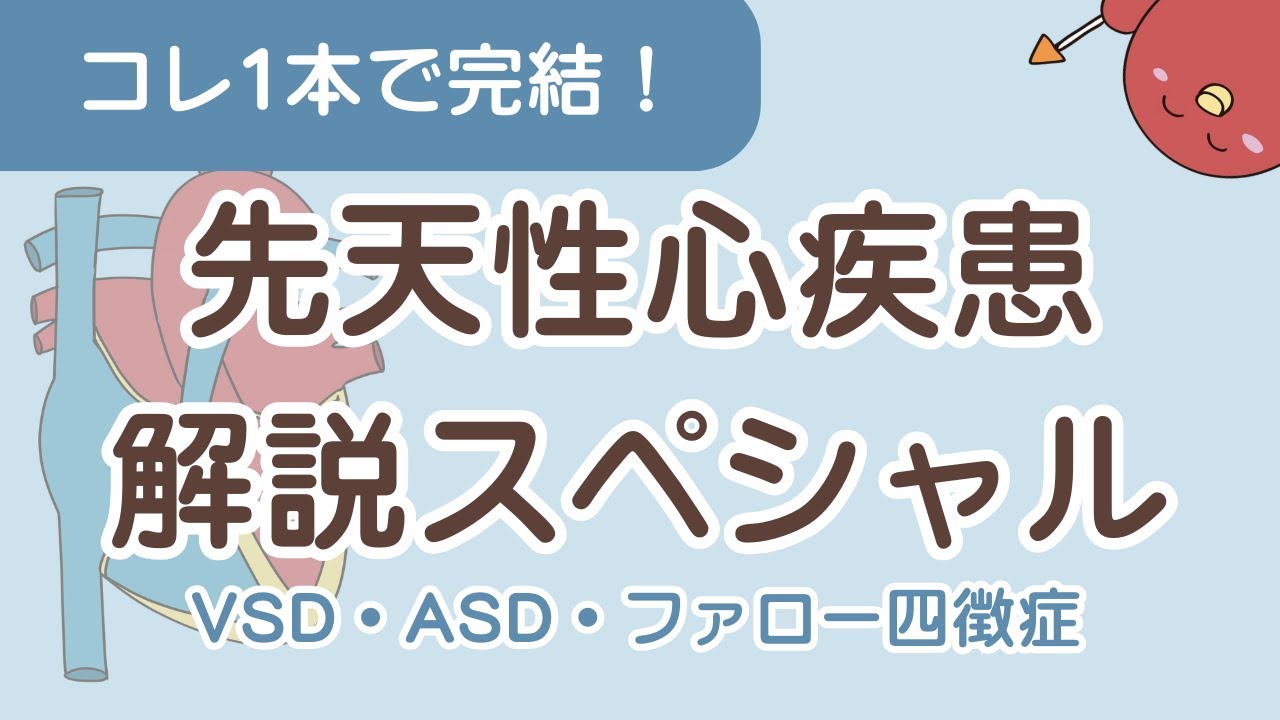 【完全版】先天性心疾患はこれ1本！VSD・ASD・ファロー四徴症の仕組みをアニメで解説【小児看護・国試対策】