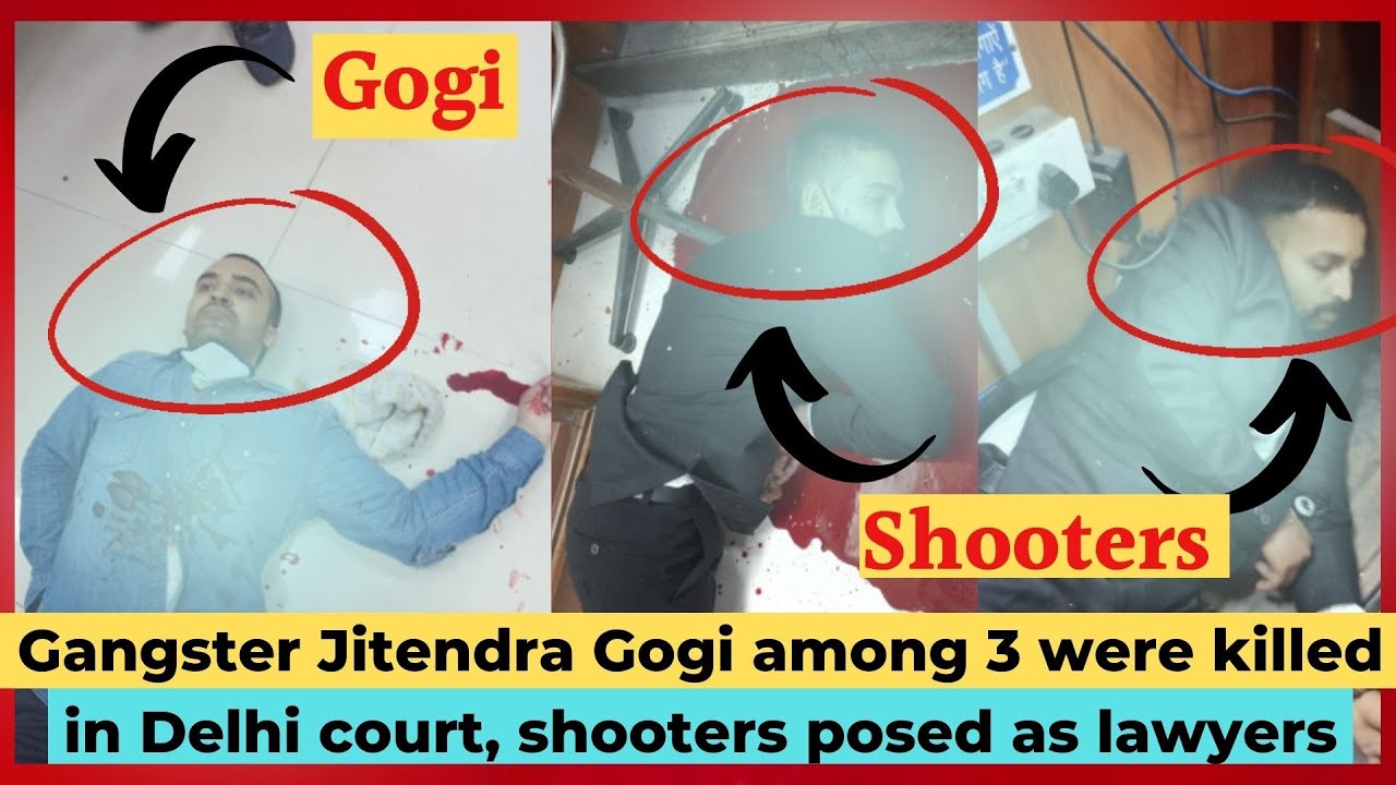 Watch || Gangster Jitendra Gogi among 3 killed in Delhi court, shooters posed as lawyers || Video ||
