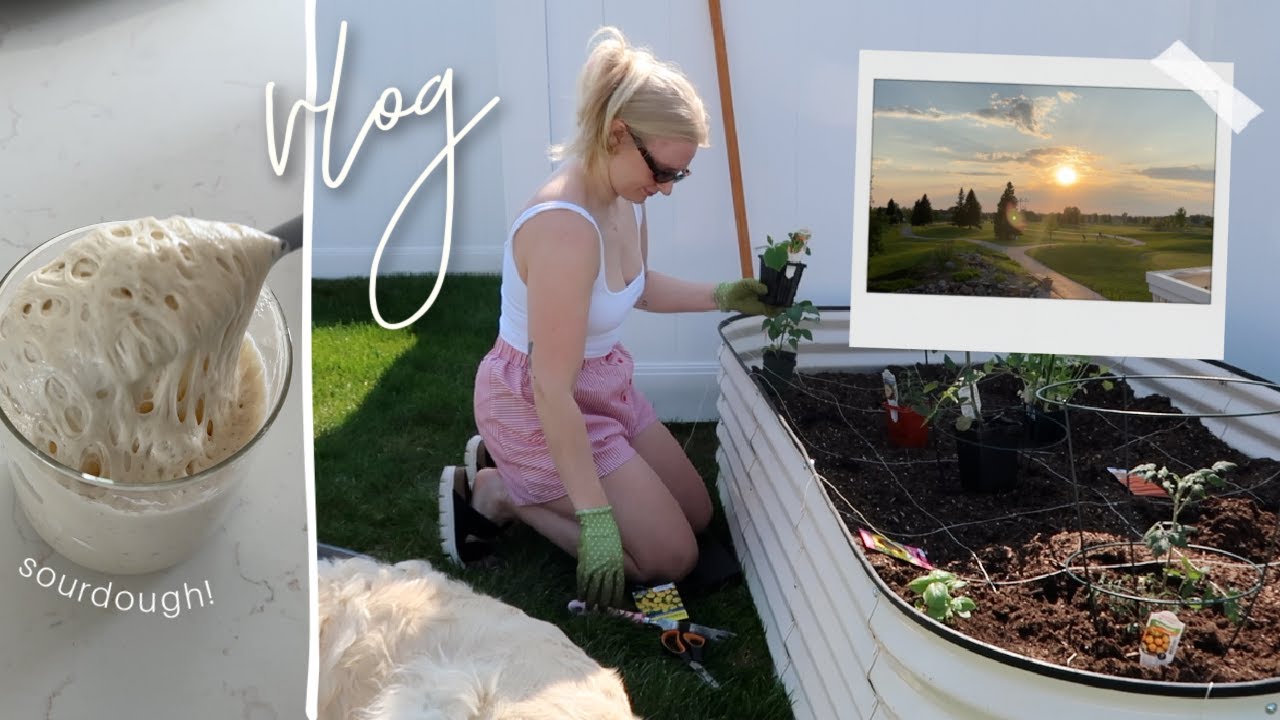 VLOG: planting my first garden! + my fave sourdough recipes, golf