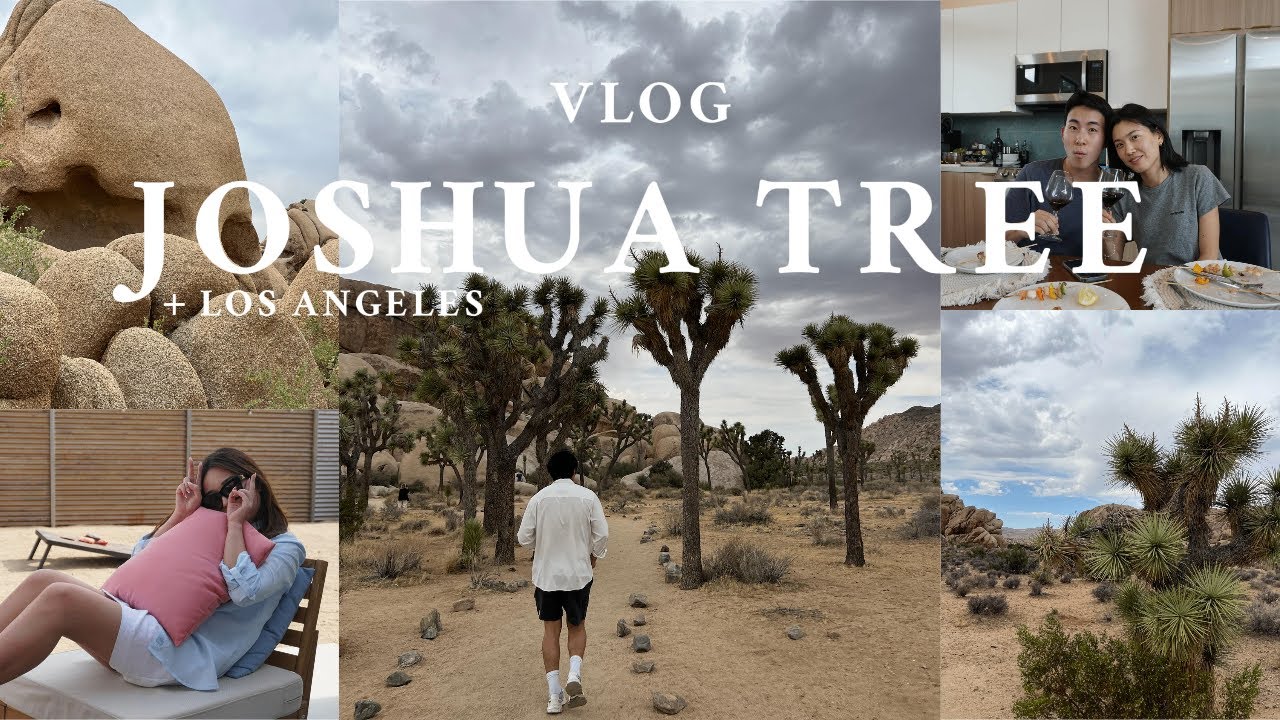 joshua tree vlog | 에어비엔비 투어, 야외바베큐, 먹방, 그리고 엘에이 로컬 추천 카페 & 맛집
