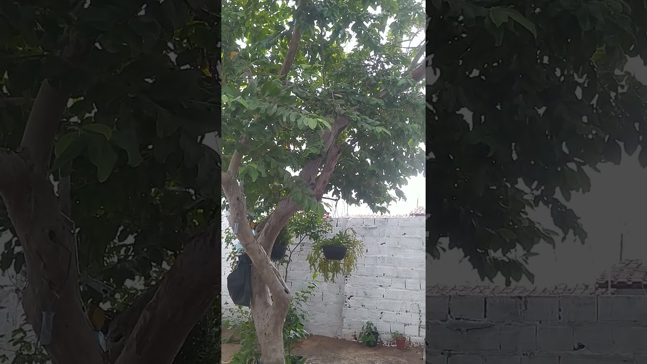 sábado de chuva em Teresina Piauí