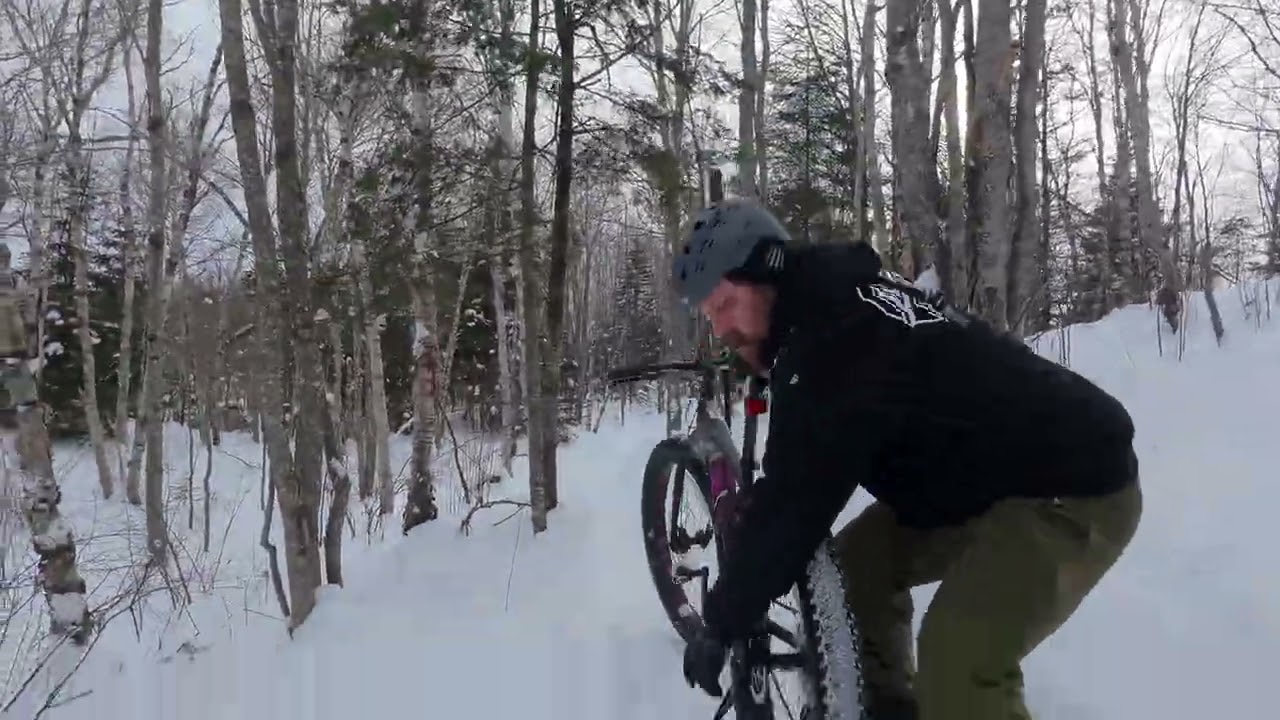 Finding the Flow in the Frozen Woods ❄️🌲
