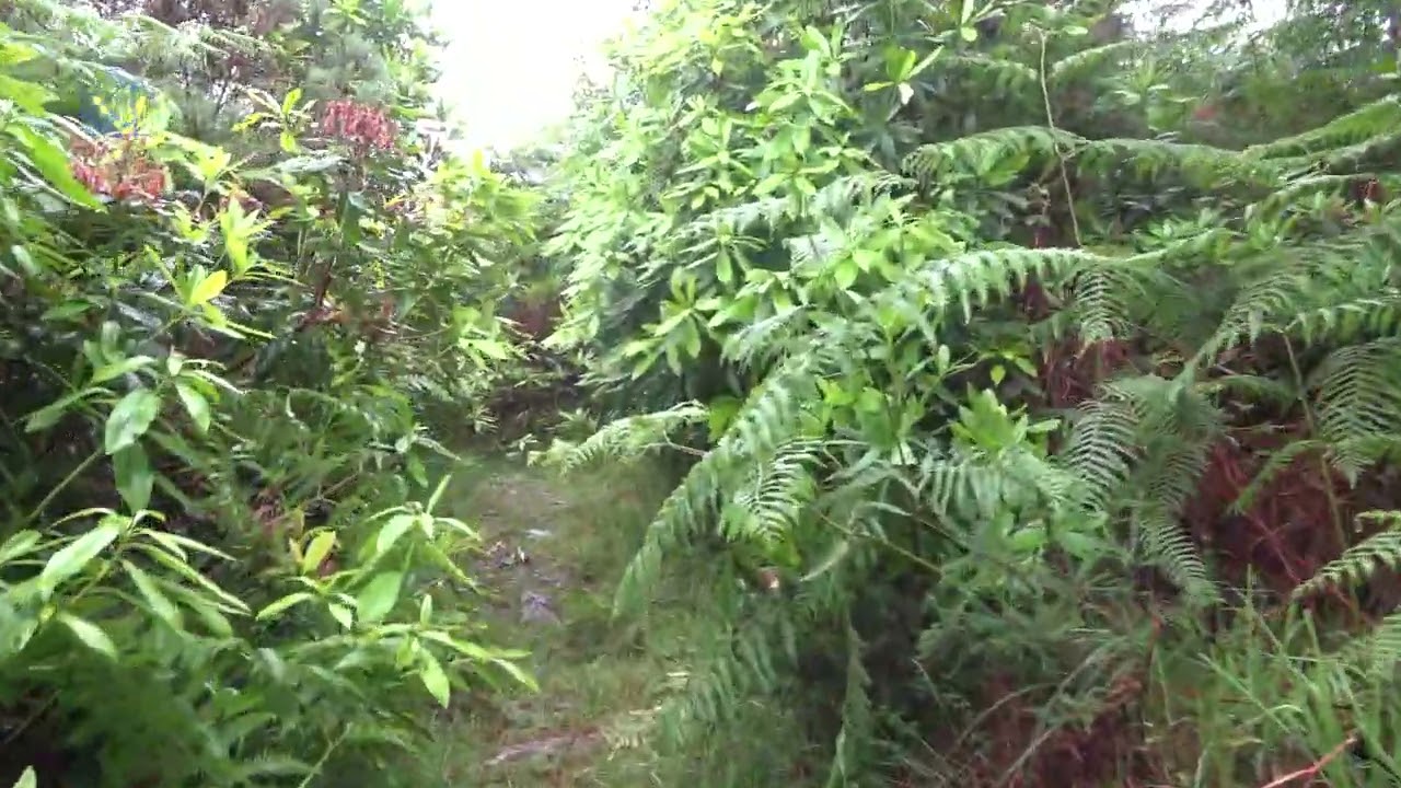 Ireland - Beara Way - part 10 - BONANE - GLENGARRIFF