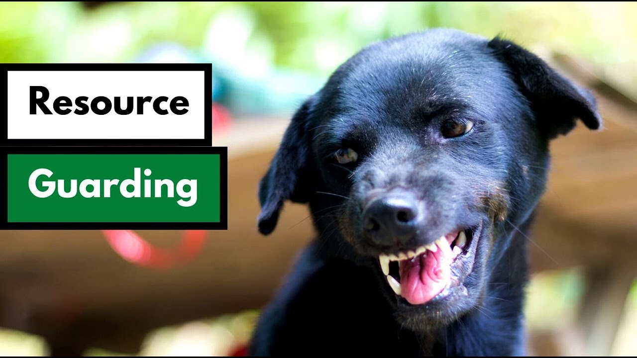 Resource Guarding