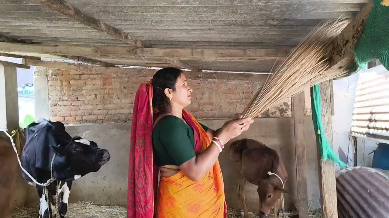 Bari ghar jhara pocha karchi 🏠 @kalyanivlogs5548 #deliyvlogs #villagelife