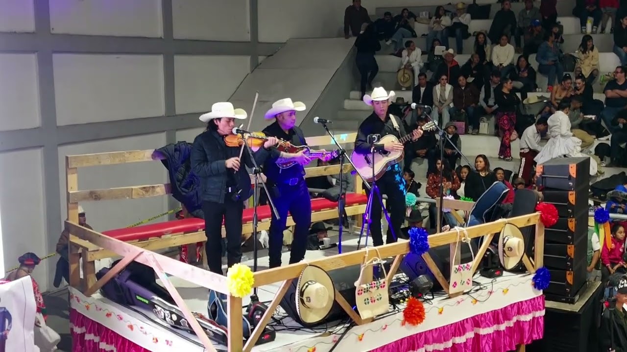 Campeón de campeones infantil en concurso nacional de baile de Huapango San Felipe Orizatlán