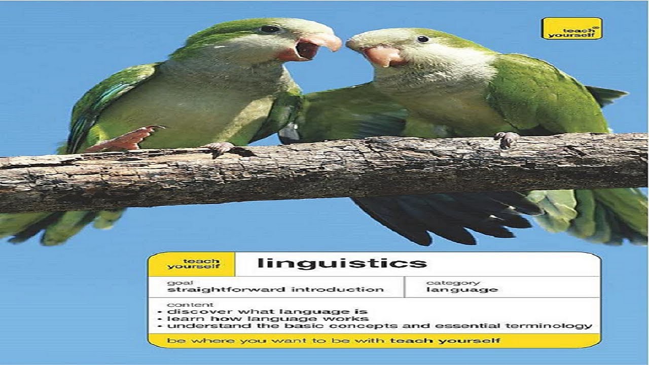 Linguistics - Chapter Seven - Syntax and Sentence patterns - Part -1