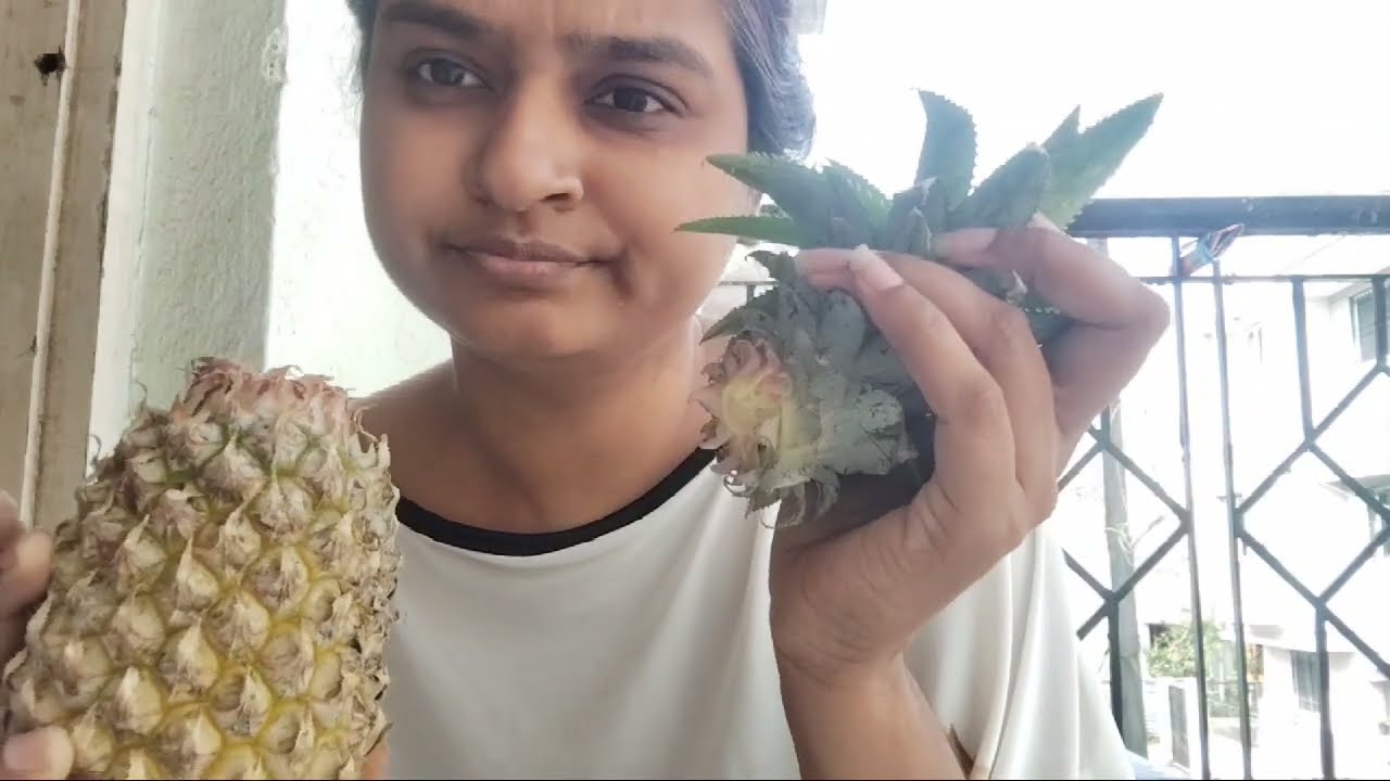 The pineapple story 🍍 Winter tarrace garden 