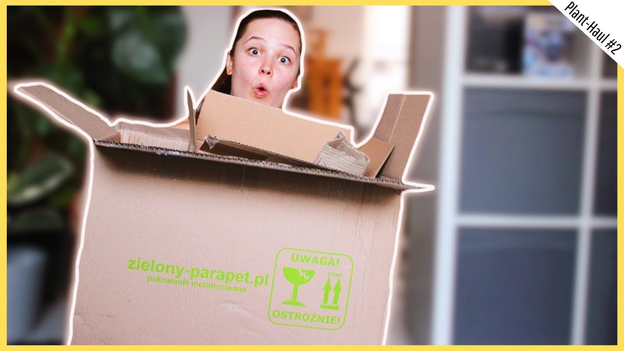 Meine Bestellung bei zielony parapet | Plant-Haul #2