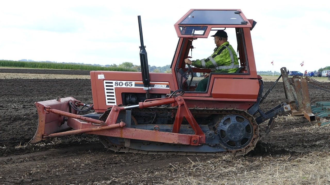 Fiat 80-65 w/ Tracks Cultivating The Field with Light Soil Cultivator | Fiat Days 2017 | Danish Agri