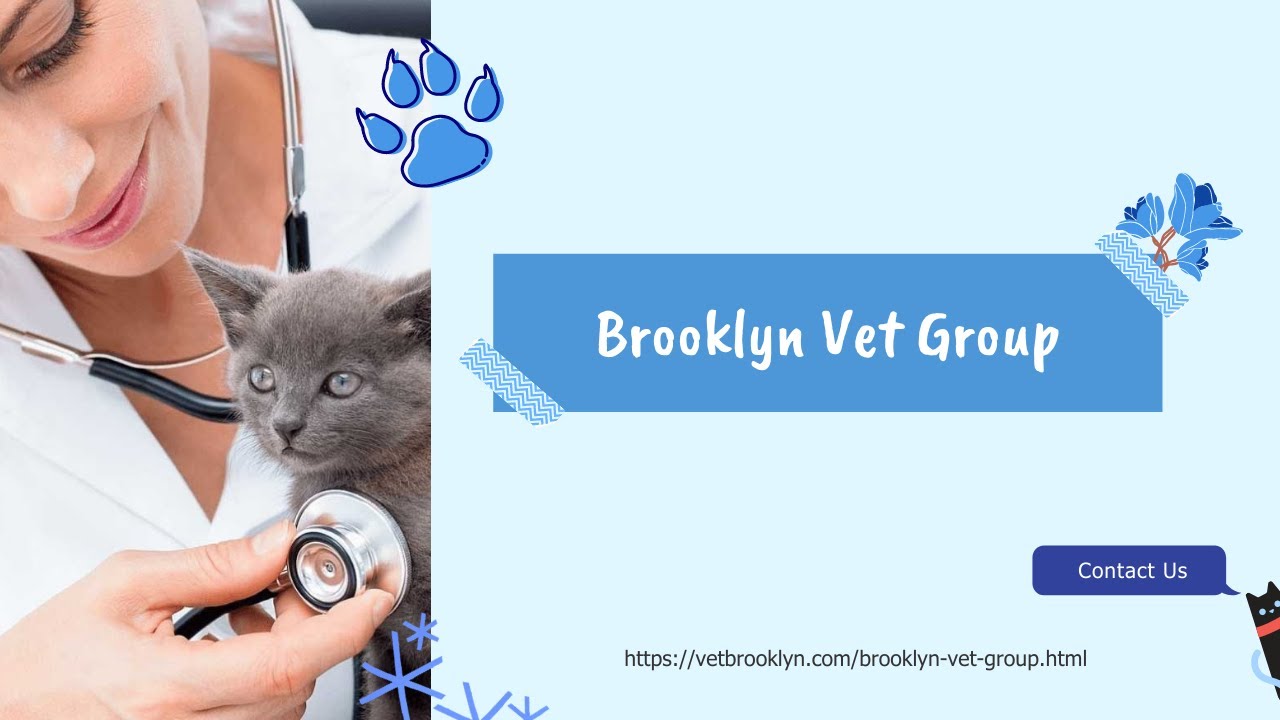 Brooklyn Vet Group