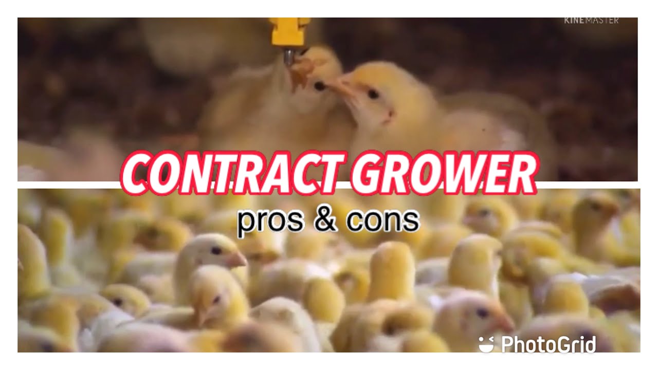 Contract Grower pros | cons