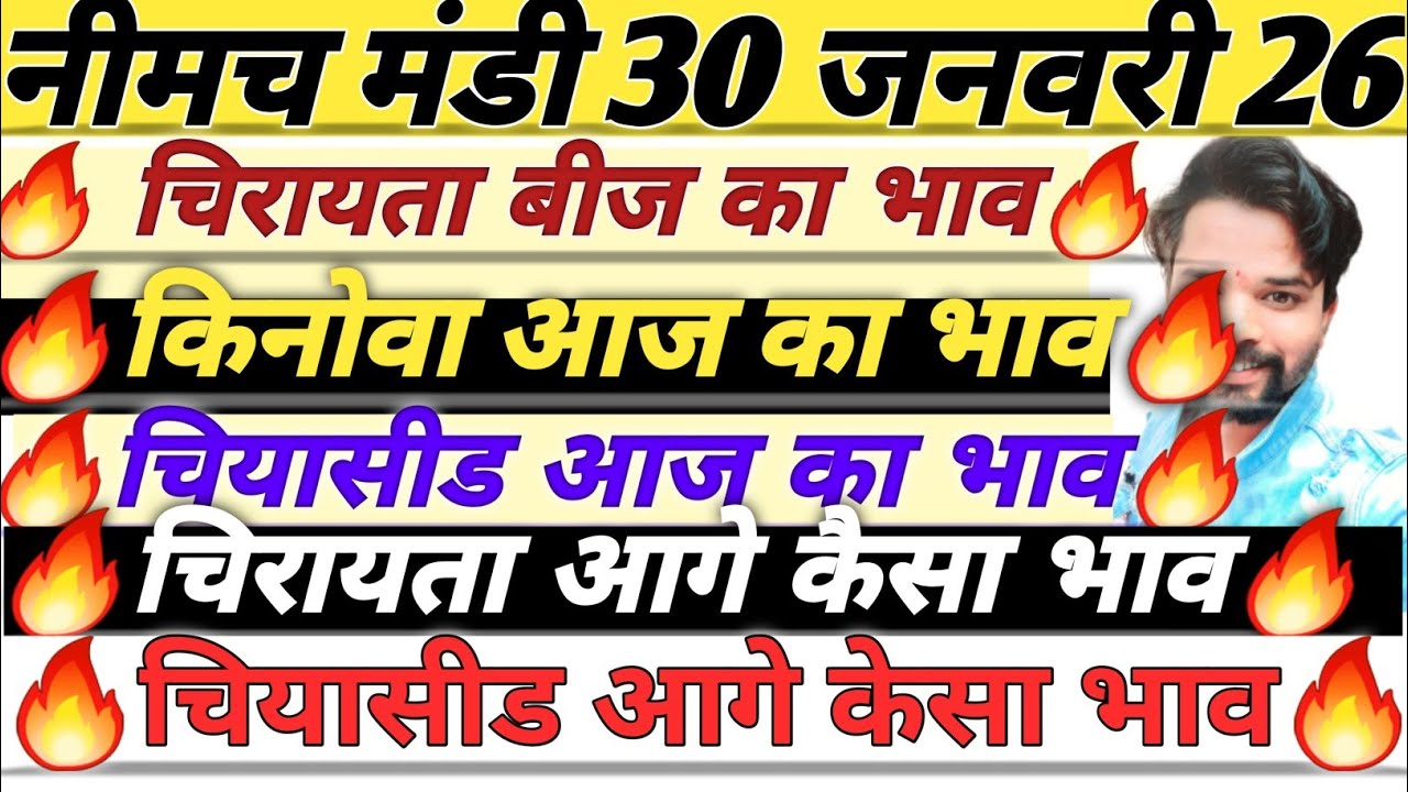 नीमच मंडी भाव। चिया भाव। नया किनोवा का भाव। चिरायता का भाव। Neemuch Mandi bhav today chirayata