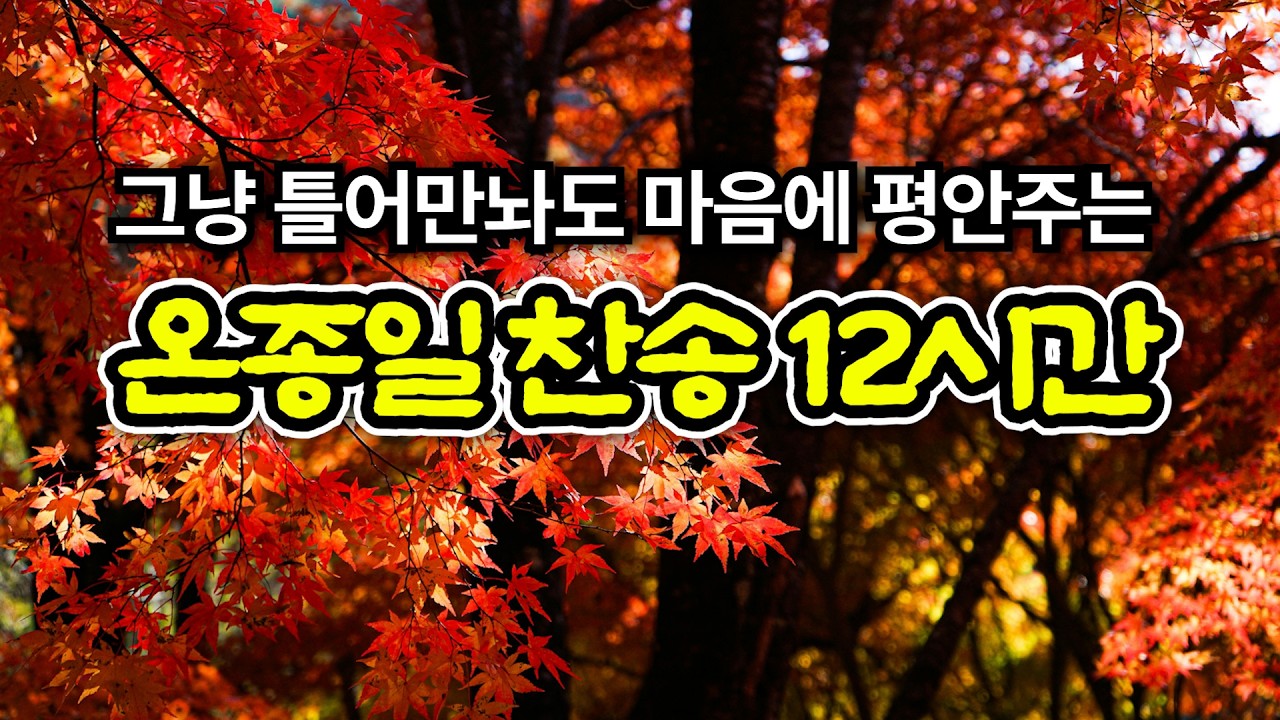 [감사찬송모음] 내 영혼이 은총입어 | 오늘의 찬송 | 고백과 기도음악 | 기도와 명상 | 눈물로 기도하며 불렀던 그날의 찬양 | 새벽기도용 | 중간광고없음 | Hymn
