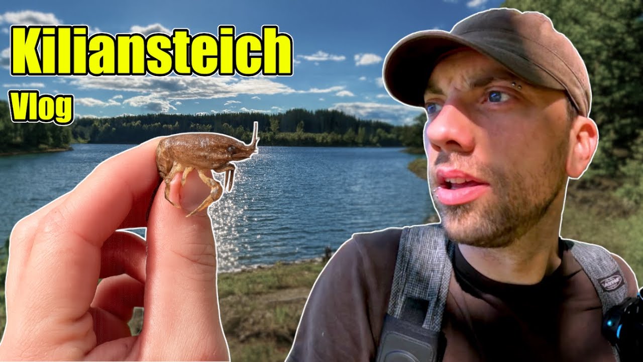Kiliansteich - Natur erkunden und Krebse fangen | HWN #211