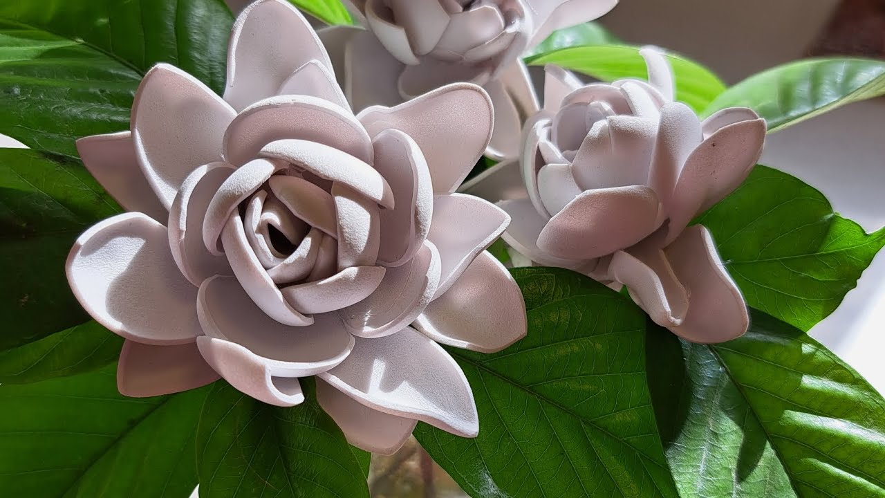 Como hacer jazmines en 5 minutos!!Realmente fabulosos #DIY FLORES Flowers #diyhomedecor