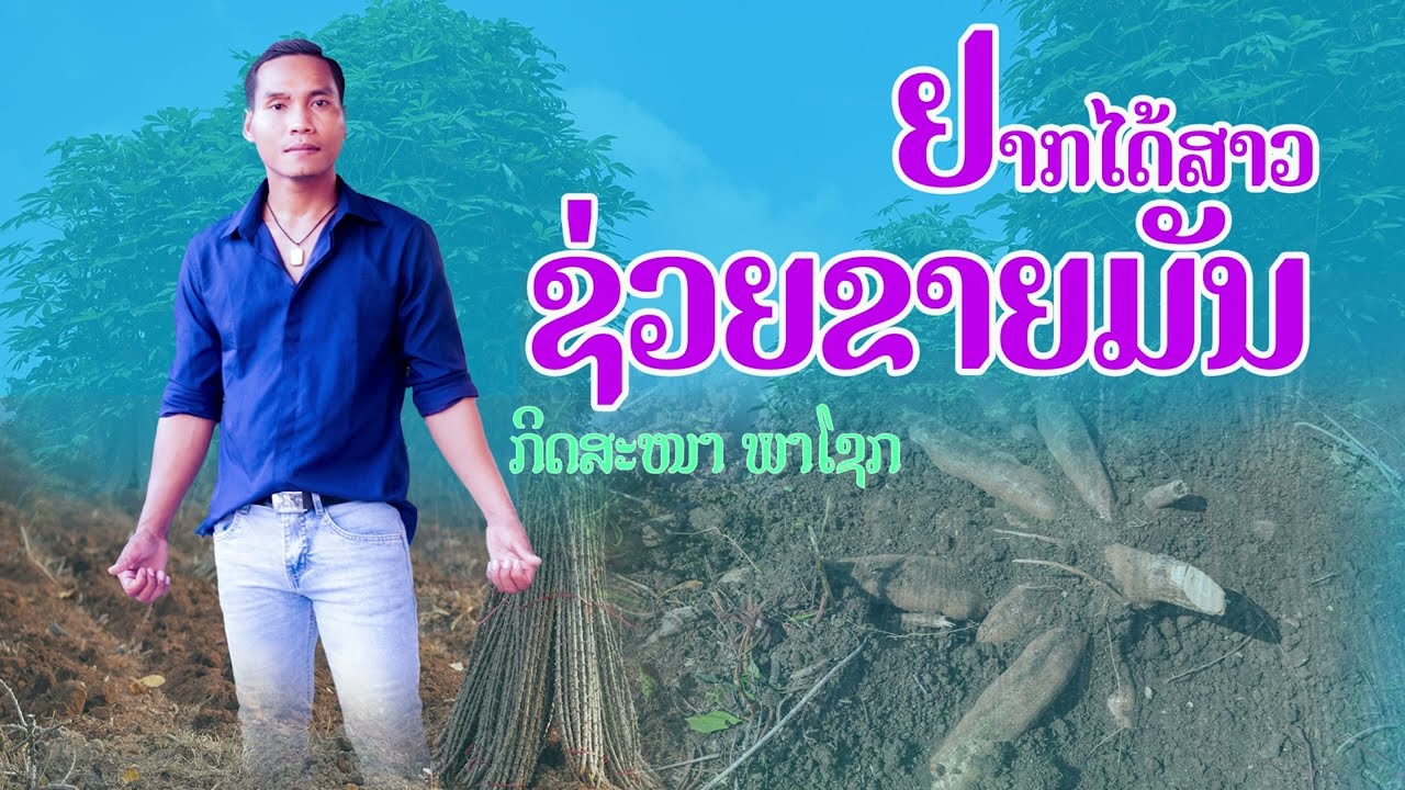 ຢາກໄດ້ສາວຊ່ວຍຂາຍມັນ - อยากได้สาวช่วยขายมัน - กิดสะหนา พาโชก  [MV official]