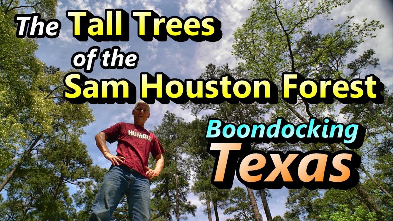 Tall Trees of Sam Houston: Boondocking Texas