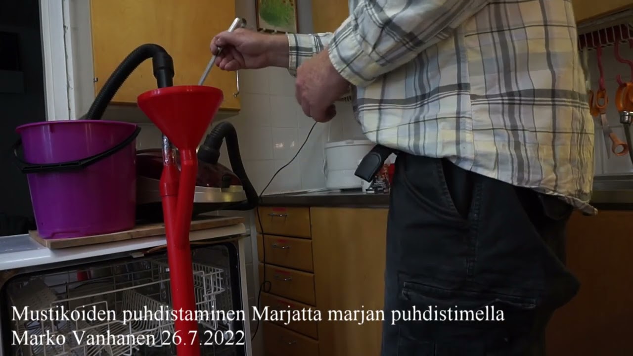 Marjukan avulla mustikan puhdistamista.