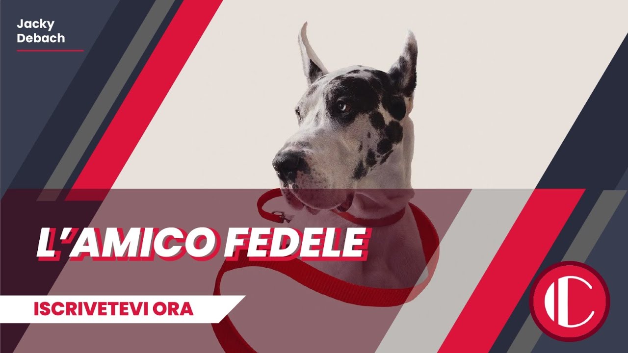 L'amico fedele | Recensione