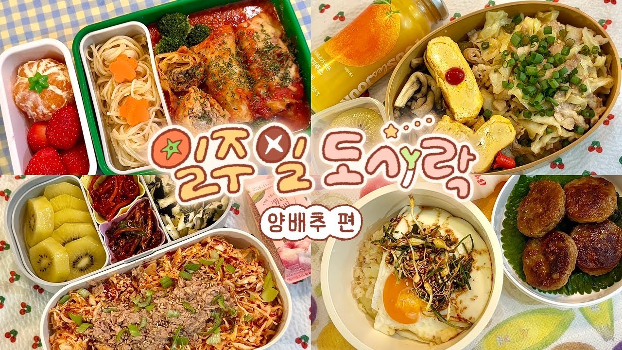 무한 양배추 지옥…👩‍🍳🧑‍🍳🥬 질리지 않게 원푸드 일주일 도시락 만들기 #83