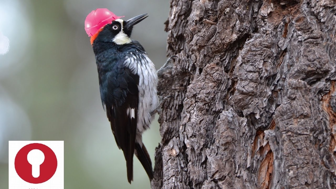 3. Kalibracja drukarki 3D metodą Nikima